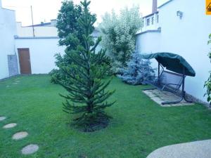 Prodej rodinného domu, Velký Týnec, 295 m2