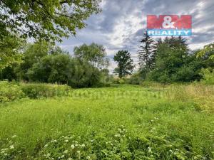 Pronájem rybníku, Žleby - Zehuby, 6119 m2