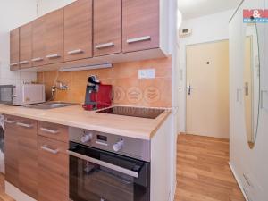 Pronájem bytu 1+kk, Aš, Dobrovského, 19 m2