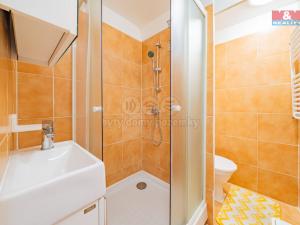 Pronájem bytu 1+kk, Aš, Dobrovského, 19 m2