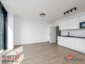 Pronájem bytu 1+kk, Plzeň - Jižní Předměstí, Měděná, 40 m2