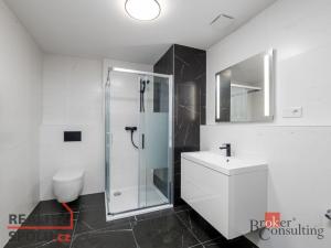 Pronájem bytu 1+kk, Plzeň - Jižní Předměstí, Měděná, 40 m2