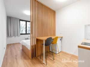 Pronájem bytu 1+kk, Praha, Na Větrníku, 27 m2