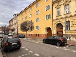 Prodej bytu 3+1, České Budějovice - České Budějovice 3, Skuherského, 87 m2
