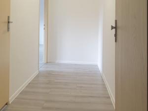 Pronájem bytu 1+kk, Ostrava - Moravská Ostrava, Sládkova, 38 m2