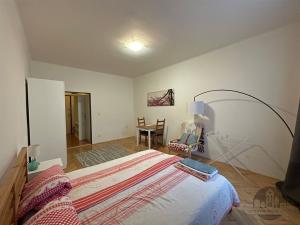 Pronájem bytu 1+kk, Praha - Karlín, Křižíkova, 35 m2