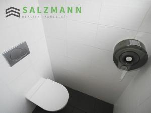 Pronájem kanceláře, Plzeň, Vejprnická, 17 m2