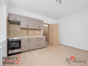 Pronájem bytu 1+1, Liberec - Liberec I-Staré Město, Venušina, 40 m2