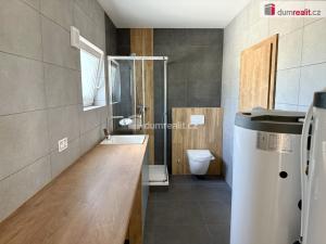 Prodej rodinného domu, Velká Hleďsebe, K Malé Hleďsebi, 166 m2