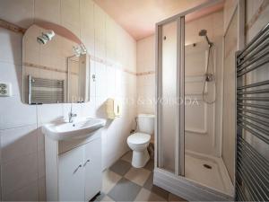 Prodej vícegeneračního domu, Trhové Sviny, 379 m2