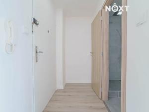 Pronájem bytu 1+1, Ostrava, Svojsíkova, 28 m2