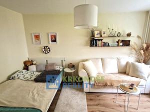 Pronájem bytu 1+1, Trutnov - Dolní Předměstí, Libušinka, 35 m2