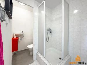 Pronájem bytu 1+kk, Ústí nad Labem, Hoření, 22 m2