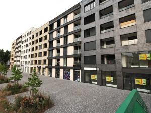 Pronájem bytu 1+kk, Praha - Holešovice, Jankovcova, 44 m2