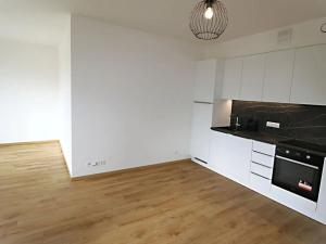 Pronájem bytu 1+kk, Praha - Holešovice, Jankovcova, 44 m2