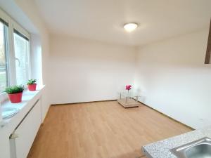 Pronájem bytu 1+kk, Ostrava, U Lípy, 28 m2