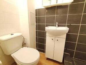 Pronájem bytu 1+kk, Ostrava, U Lípy, 28 m2