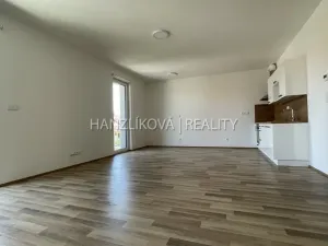 Pronájem bytu 2+kk, České Budějovice, 52 m2