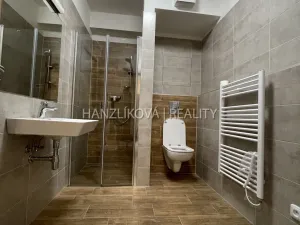 Pronájem bytu 2+kk, České Budějovice, 52 m2