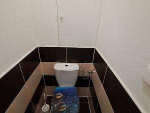 Pronájem bytu 2+1, Olomouc, Junácká, 51 m2