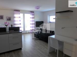 Pronájem bytu 2+kk, Plzeň - Bolevec, U Velkého rybníka, 67 m2