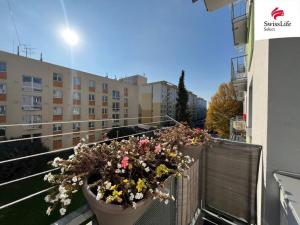 Pronájem bytu 3+1, Trutnov, Chodská, 62 m2