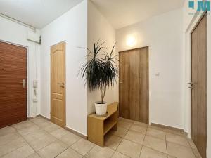 Pronájem bytu 3+1, Třebíč, Maxima Gorkého, 74 m2