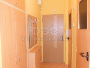 Pronájem bytu 1+1, Cheb, Růžová, 32 m2