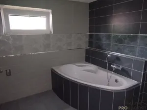 Prodej rodinného domu, Přílepy, 255 m2