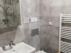 Prodej bytu 1+1, Říčky v Orlických horách, 41 m2