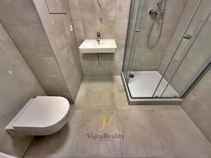 Pronájem bytu 1+kk, Olomouc, Aloise Rašína, 30 m2