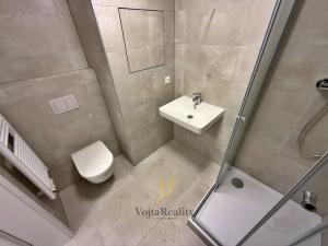 Pronájem bytu 1+kk, Olomouc, Aloise Rašína, 30 m2