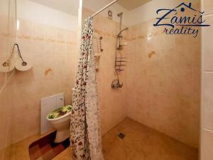 Pronájem bytu 2+1, Kladno, Litevská, 62 m2