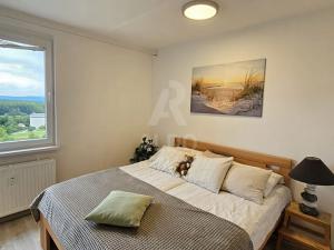 Prodej bytu 3+1, České Budějovice, V. Volfa, 74 m2