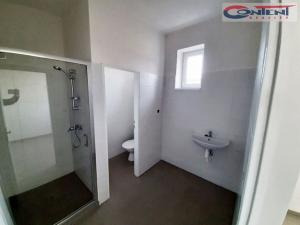 Pronájem skladu, Kladno - Dubí, Dubská, 2110 m2