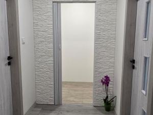 Prodej bytu 3+1, Jeseník, Halasova, 75 m2