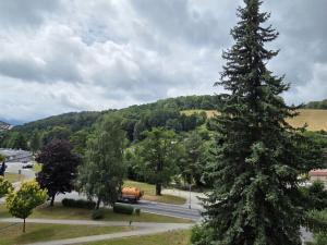 Prodej bytu 3+1, Jeseník, Halasova, 75 m2