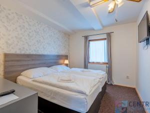 Prodej ubytování, Svoboda nad Úpou, 5. května, 1050 m2
