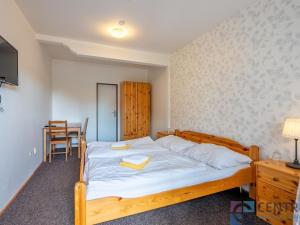 Prodej ubytování, Svoboda nad Úpou, 5. května, 1050 m2