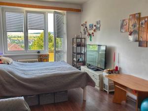 Pronájem bytu 2+1, Tachov, 1. máje, 50 m2