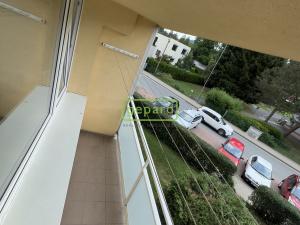 Pronájem bytu 2+1, Sázava, Školská, 55 m2