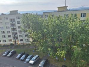 Prodej bytu 1+1, Krupka - Maršov, Karla Čapka, 35 m2
