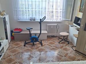 Prodej bytu 1+1, Krupka - Maršov, Karla Čapka, 35 m2
