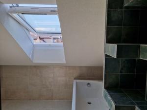 Pronájem bytu 3+kk, Děčín - Děčín IV-Podmokly, Ruská, 65 m2