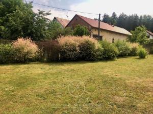 Prodej chaty, Nečtiny - Plachtín, 90 m2