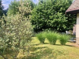 Prodej chaty, Nečtiny - Plachtín, 90 m2