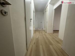 Pronájem bytu 3+1, Opava - Předměstí, Elišky Krásnohorské, 75 m2