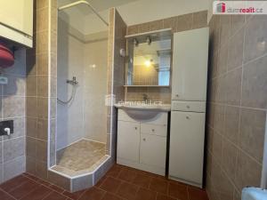 Pronájem bytu 3+1, Opava - Předměstí, Elišky Krásnohorské, 75 m2