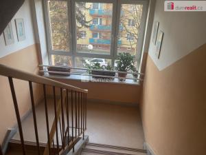 Pronájem bytu 3+1, Opava - Předměstí, Elišky Krásnohorské, 75 m2