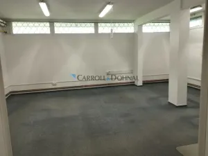 Pronájem skladu, Brno - Lesná, Loosova, 38 m2